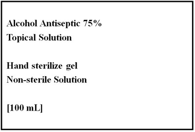 Principal Display Panel 2 (Principal Display Panel 2)